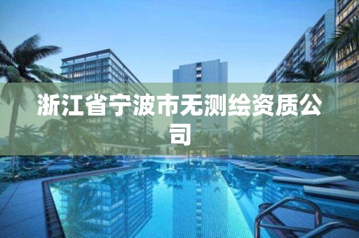 浙江省寧波市無測繪資質公司