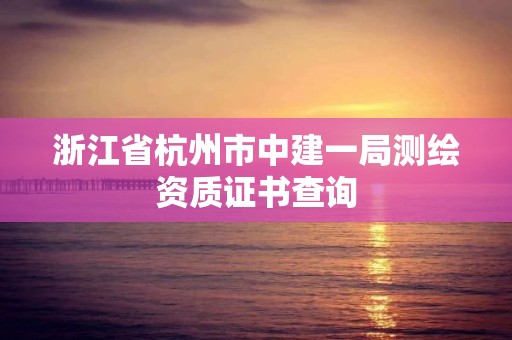 浙江省杭州市中建一局測繪資質證書查詢