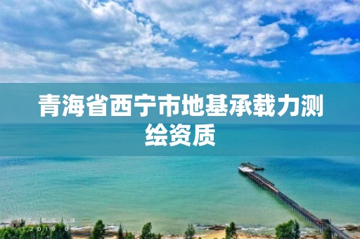 青海省西寧市地基承載力測繪資質