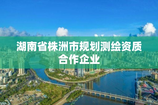 湖南省株洲市規劃測繪資質合作企業