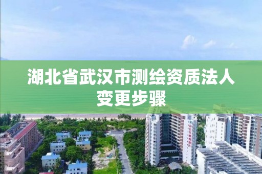 湖北省武漢市測繪資質法人變更步驟