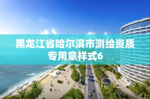 黑龍江省哈爾濱市測繪資質專用章樣式6