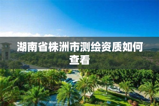 湖南省株洲市測繪資質如何查看