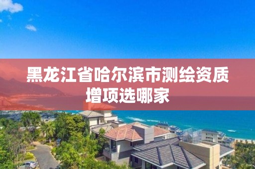 黑龍江省哈爾濱市測繪資質增項選哪家