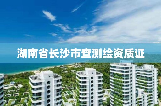 湖南省長沙市查測繪資質證