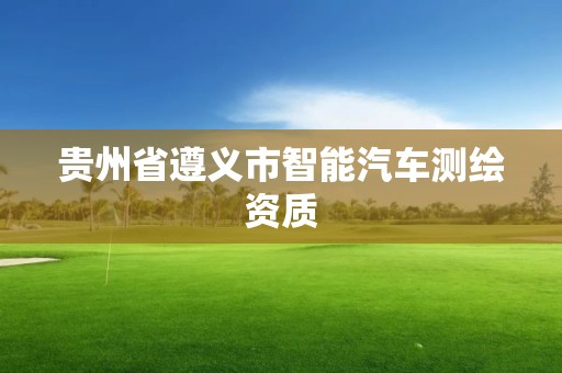 貴州省遵義市智能汽車測繪資質