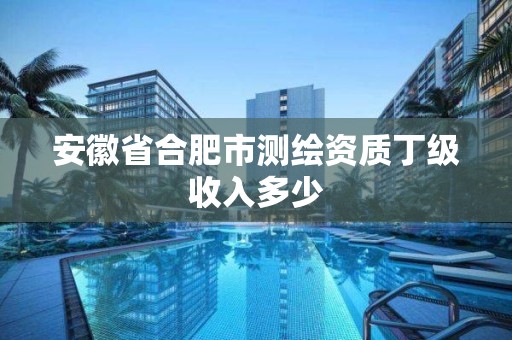 安徽省合肥市測繪資質丁級收入多少