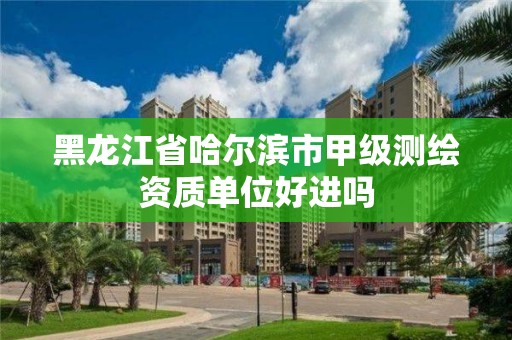 黑龍江省哈爾濱市甲級測繪資質單位好進嗎