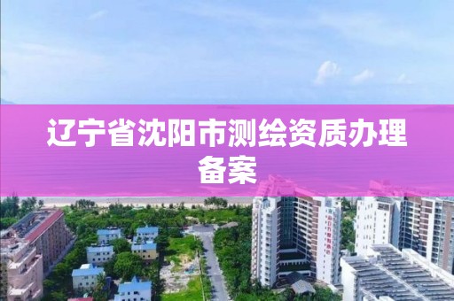 遼寧省沈陽市測繪資質辦理備案