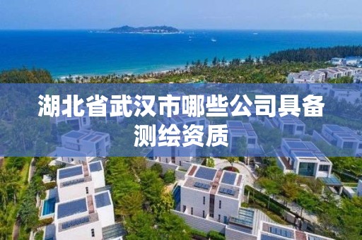 湖北省武漢市哪些公司具備測繪資質