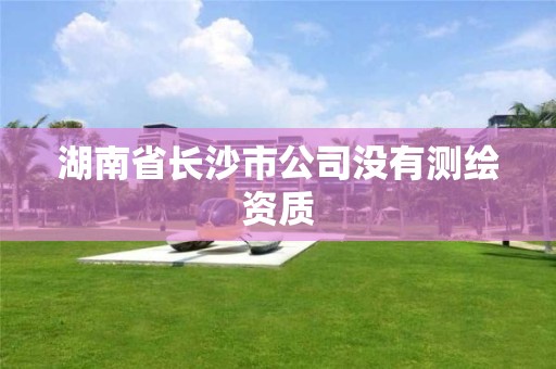 湖南省長沙市公司沒有測繪資質