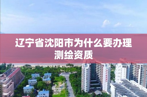 遼寧省沈陽市為什么要辦理測繪資質