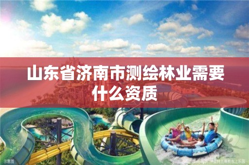 山東省濟南市測繪林業(yè)需要什么資質(zhì)