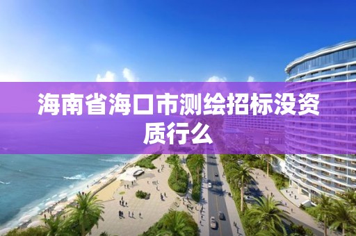 海南省海口市測繪招標沒資質行么