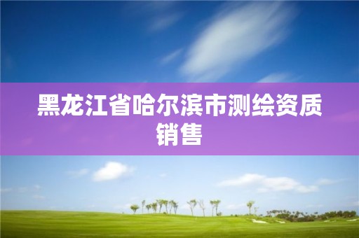 黑龍江省哈爾濱市測(cè)繪資質(zhì)銷售