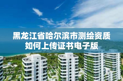 黑龍江省哈爾濱市測繪資質如何上傳證書電子版