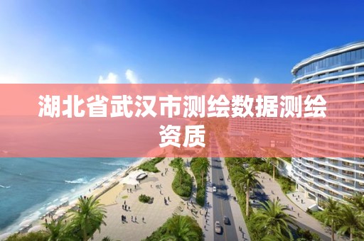 湖北省武漢市測繪數據測繪資質