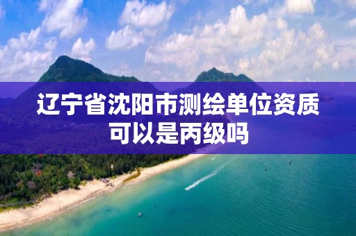 遼寧省沈陽市測繪單位資質可以是丙級嗎