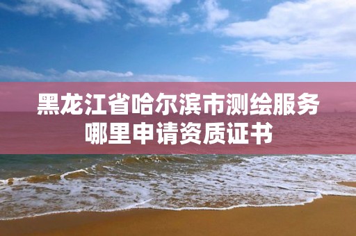 黑龍江省哈爾濱市測繪服務哪里申請資質證書