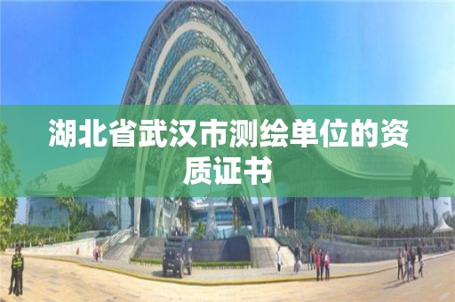 湖北省武漢市測繪單位的資質證書