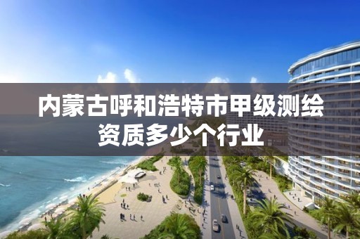 內蒙古呼和浩特市甲級測繪資質多少個行業