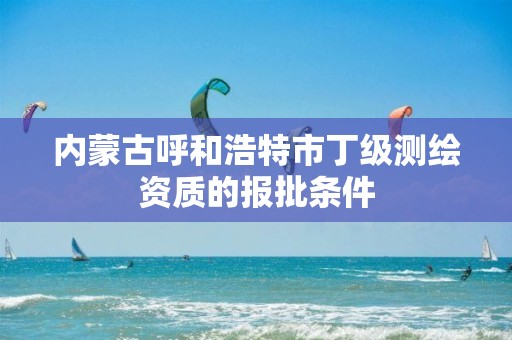 內蒙古呼和浩特市丁級測繪資質的報批條件