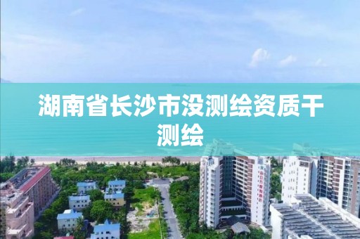 湖南省長沙市沒測繪資質干測繪