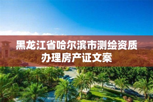 黑龍江省哈爾濱市測繪資質(zhì)辦理房產(chǎn)證文案