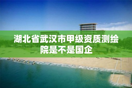 湖北省武漢市甲級資質測繪院是不是國企