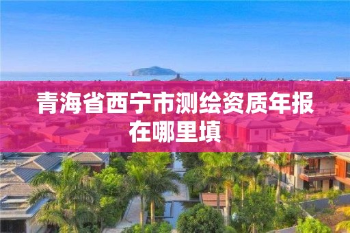 青海省西寧市測繪資質年報在哪里填