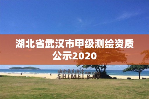 湖北省武漢市甲級測繪資質公示2020