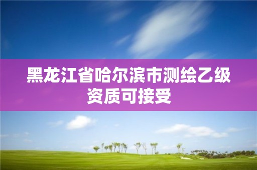 黑龍江省哈爾濱市測(cè)繪乙級(jí)資質(zhì)可接受