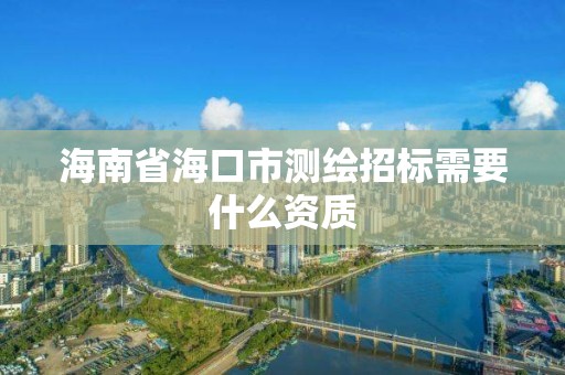 海南省海口市測繪招標需要什么資質