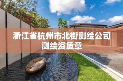 浙江省杭州市北街測繪公司測繪資質章