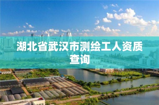 湖北省武漢市測繪工人資質查詢