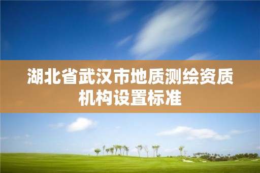 湖北省武漢市地質測繪資質機構設置標準