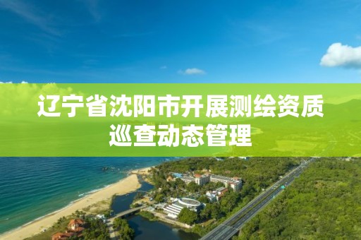 遼寧省沈陽市開展測繪資質巡查動態管理