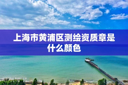 上海市黃浦區(qū)測繪資質(zhì)章是什么顏色