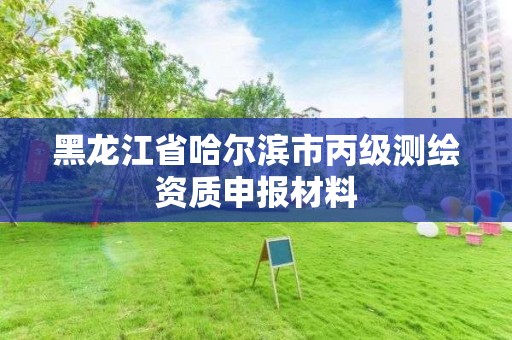 黑龍江省哈爾濱市丙級測繪資質申報材料