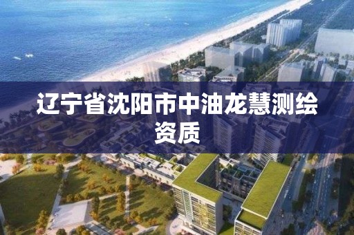 遼寧省沈陽市中油龍慧測繪資質