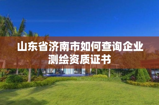 山東省濟南市如何查詢企業測繪資質證書