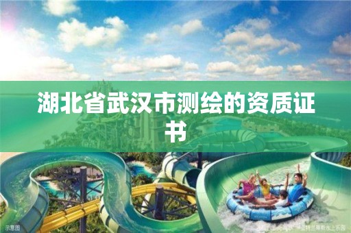 湖北省武漢市測繪的資質(zhì)證書