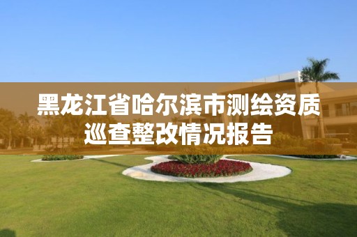 黑龍江省哈爾濱市測繪資質巡查整改情況報告