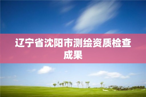 遼寧省沈陽市測繪資質檢查成果