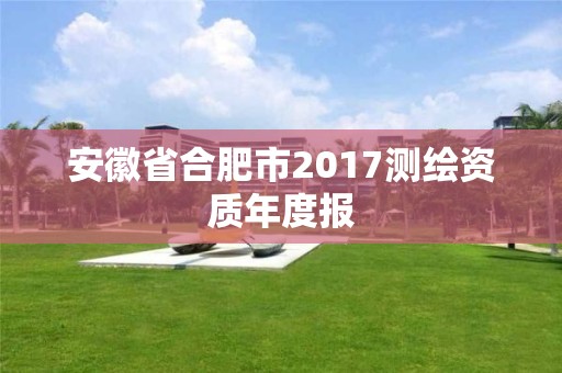 安徽省合肥市2017測繪資質年度報