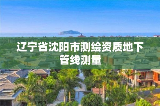 遼寧省沈陽市測繪資質(zhì)地下管線測量