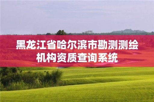 黑龍江省哈爾濱市勘測測繪機構資質查詢系統