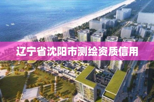 遼寧省沈陽市測繪資質信用