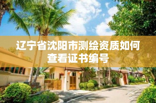 遼寧省沈陽市測繪資質如何查看證書編號