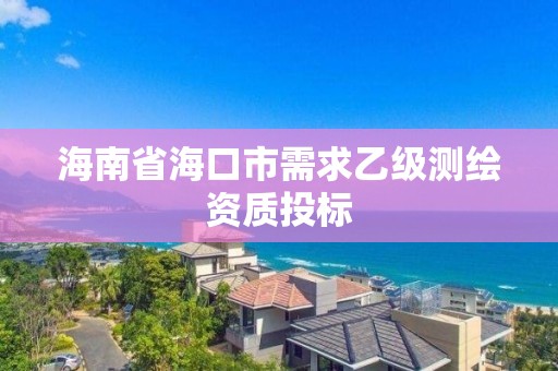 海南省海口市需求乙級測繪資質投標